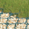 ACO Ground Guard - Image 2